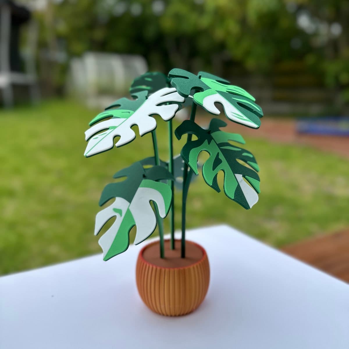 Variegated Monstera Coaster Set (6 coasters)